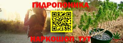 PSILOCYBIN Чебоксары