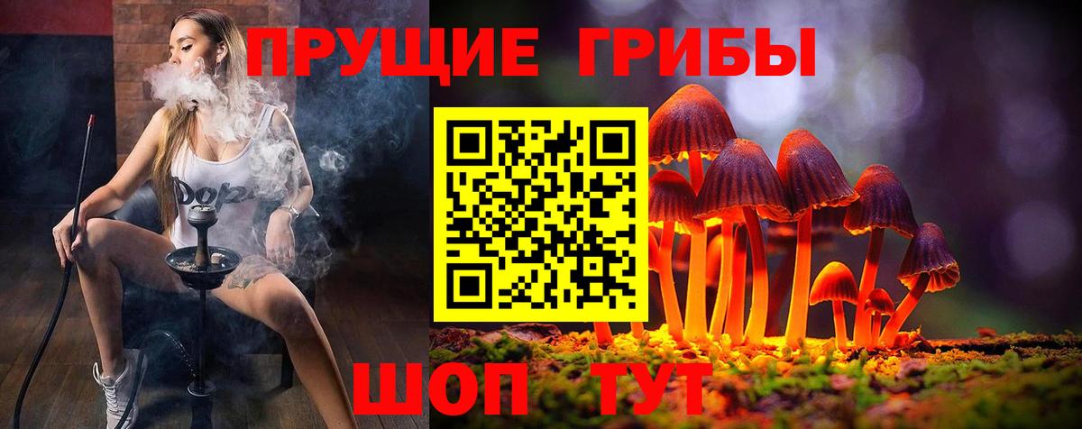 Псилоцибиновые грибы Psilocybine cubensis Нефтекумск