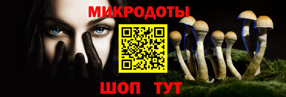 Псилоцибиновые грибы ЛСД  Галлюциногенные грибы Psilocybine cubensis  Нефтекумск  Вход с VPN 